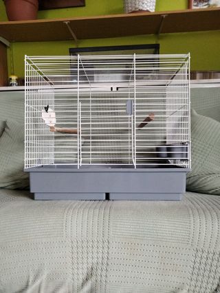 Jaula para loros y pájaros