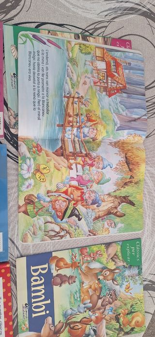 Lote de 10 cuentos infantiles clásicos – 2 €
