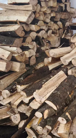 Se vende leña de carballo y Acacia
