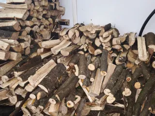 Se vende leña de carballo y Acacia
