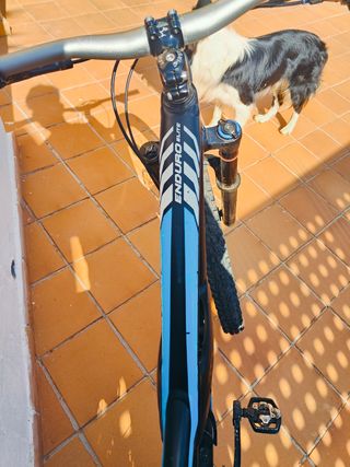 Specialized Enduro Comp
