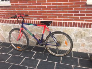 Bicicleta de montaña unisex