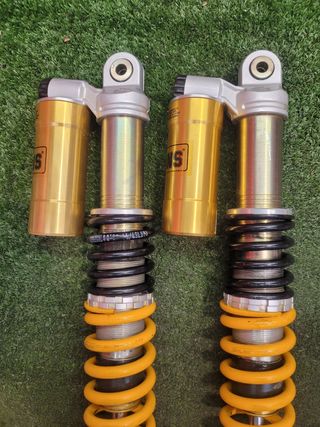 suspension ohlins 50 cm 