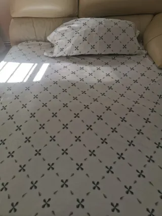 Sofá Cama Beige Cuero