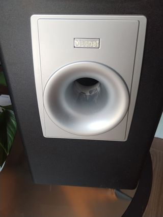 Subwoofer Magnat Negro/Plateado