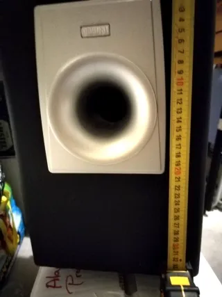 Subwoofer Magnat Negro/Plateado