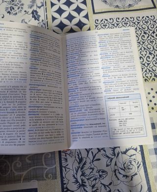 Diccionario Didáctico: DICO