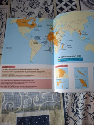 Diccionario Didáctico: DICO