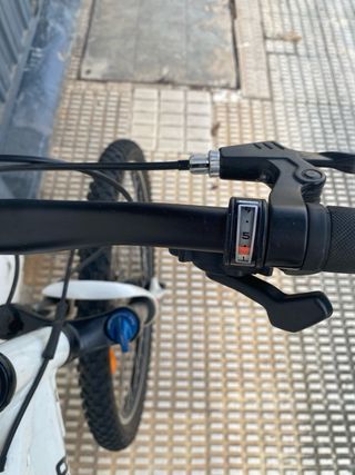 Bicicleta de Montaña