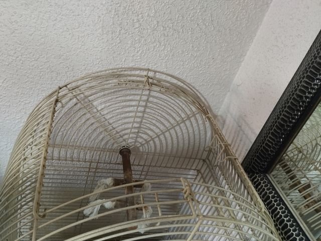 Jaula loro con peana