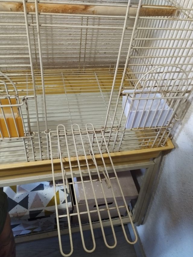 Jaula loro con peana