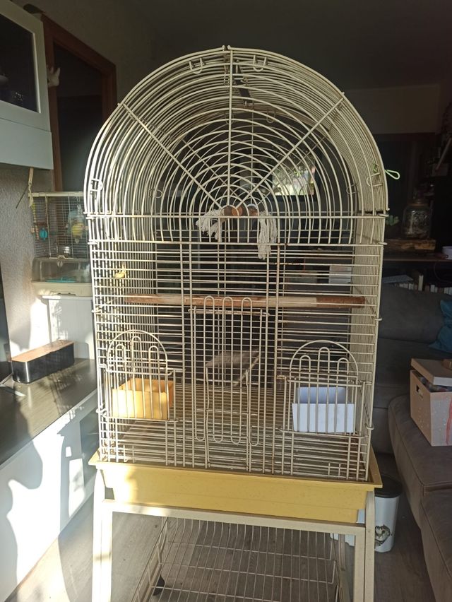 Jaula loro con peana