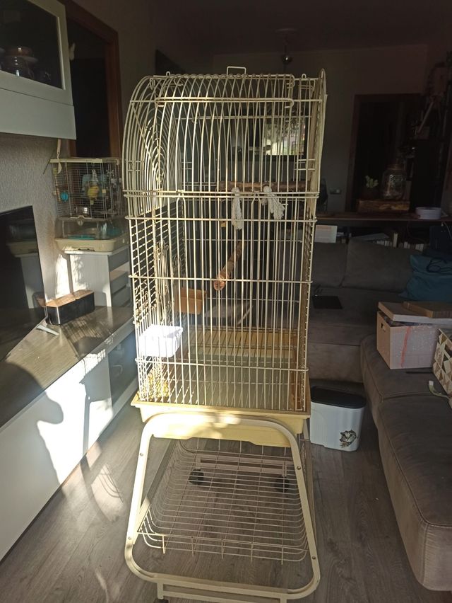 Jaula loro con peana