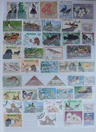 Collezione di francobolli 2067: temi vari