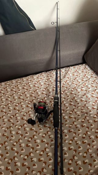 Caña de pesca y carrete daiwa y sienna