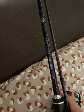 Caña de pesca y carrete daiwa y sienna
