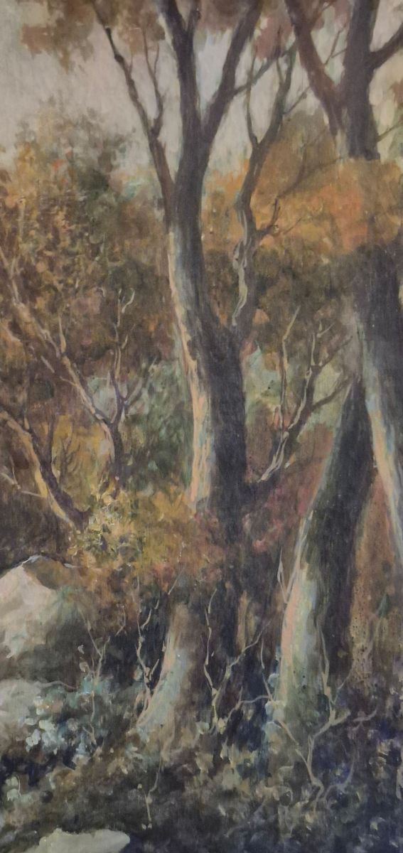 Olio su tela metà '900