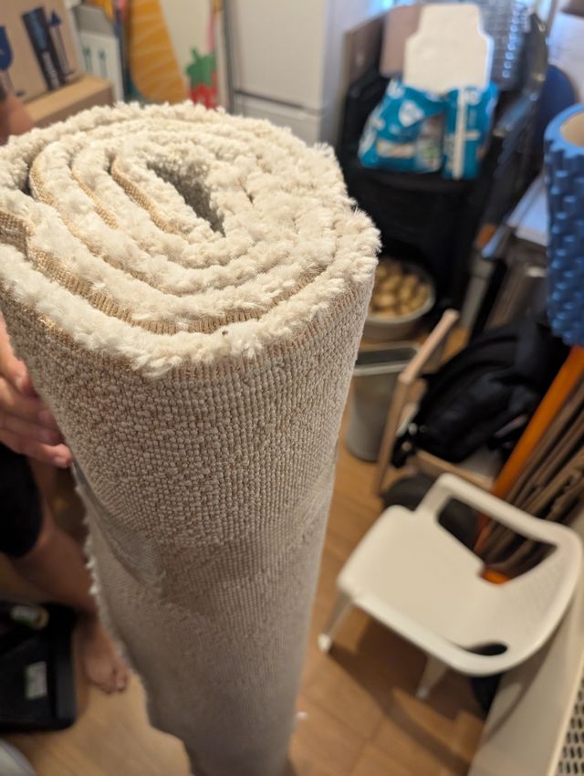 Alfombra IKEA Hueso Pelo Corto 170x240 cm