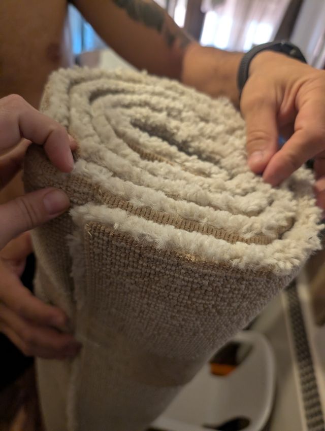 Alfombra IKEA Hueso Pelo Corto 170x240 cm