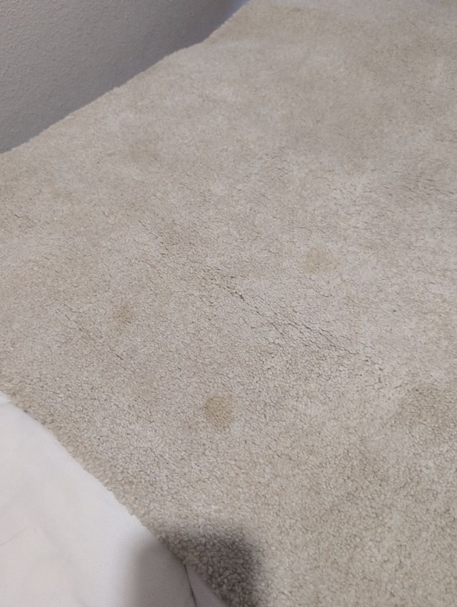 Alfombra IKEA Hueso Pelo Corto 170x240 cm