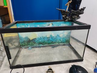 Acuario completo con accesorios