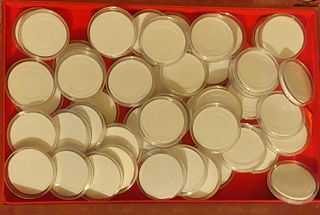 Cápsulas para monedas con almohadilla
Lote 50 