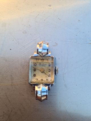 Orologi Festina e Wintex lotto 30 €