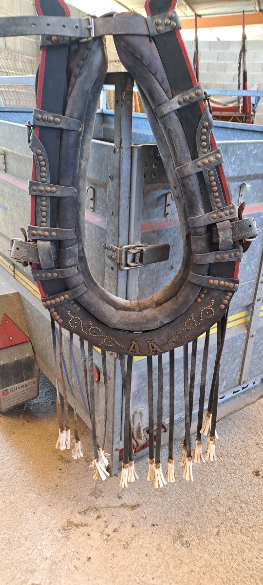 Colleron para caballo