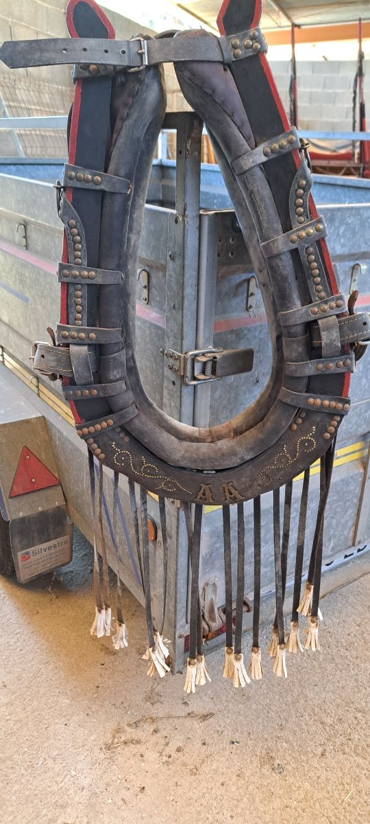 Colleron para caballo