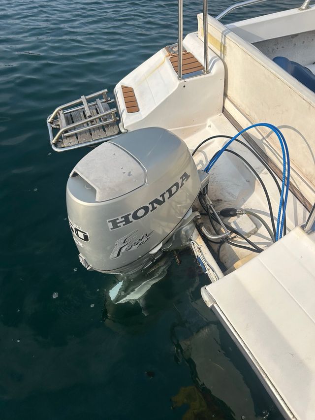 Honda BF50 C V Motor fueraborda
