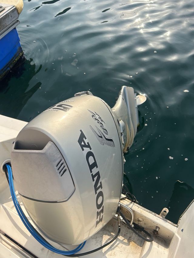Honda BF50 C V Motor fueraborda