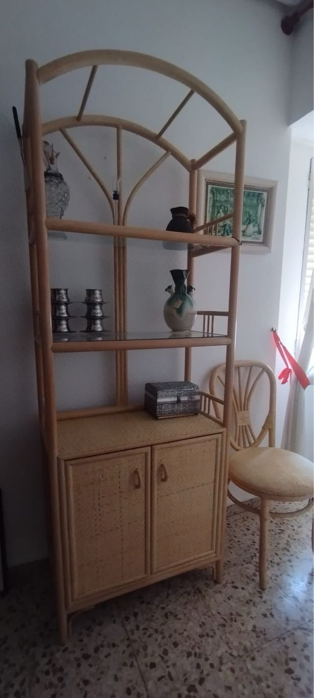 Mueble Almacenaje Estantería Rattan Puertas