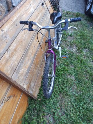 Bicicleta 20 pulgadas morada