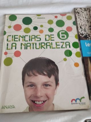 Libros de 6° de primaria SM y Anaya