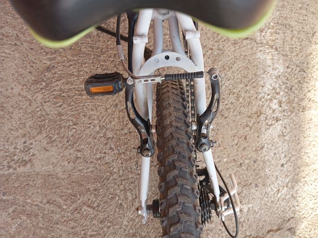 Bicicleta Infantil 20