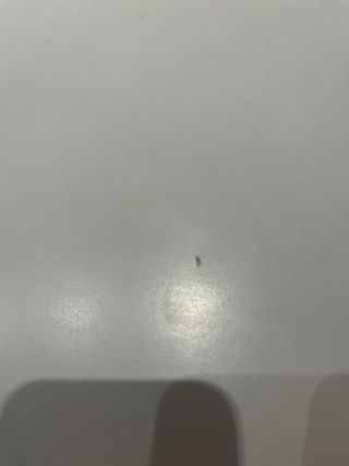 Mesa Ikea Blanda Blanca