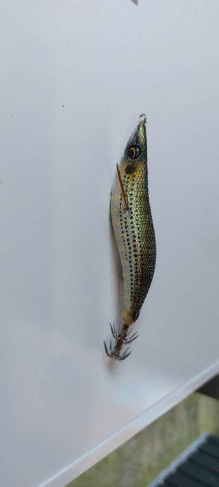 JIBIONERAS SAVAGE GEAR SUPER CAST 3.0