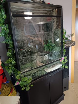 Paludario con decoración y fuente de agua