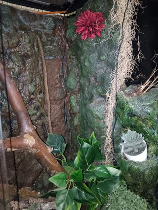 Paludario con decoración y fuente de agua