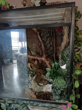 Paludario con decoración y fuente de agua