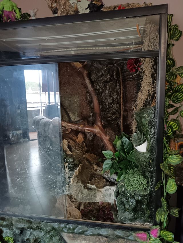 Paludario con decoración y fuente de agua