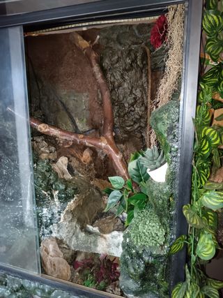 Paludario con decoración y fuente de agua