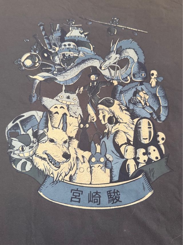 Camiseta Animé Unisex Totoro Pampling