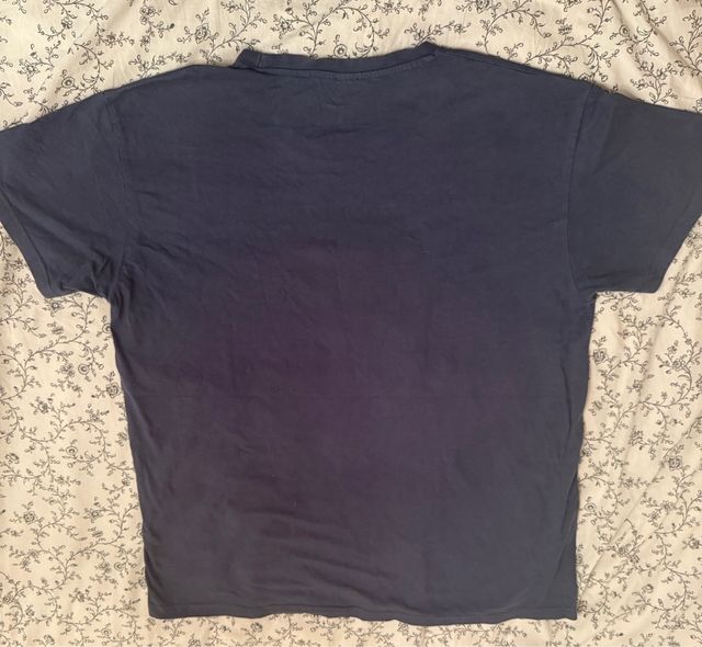 Camiseta Animé Unisex Totoro Pampling