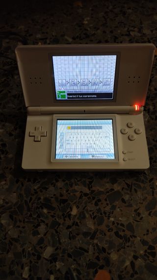 Nintendo DS Lite + 2 Giochi