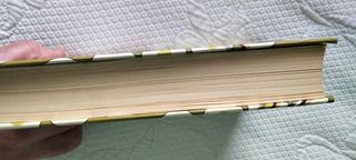 Sushi para principiantes