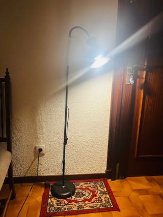 Lámpara de Pie Amdelne Negra y Dorada
