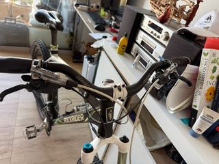 Bicicleta de Montaña