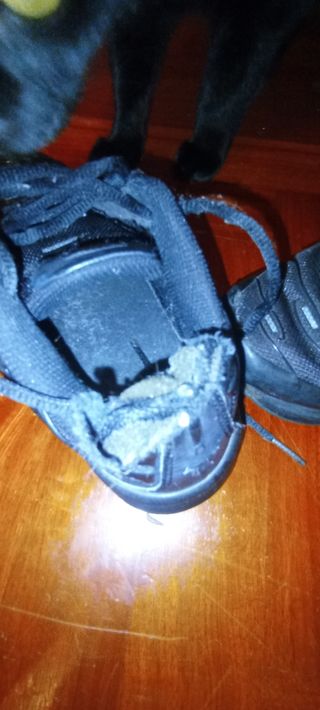 Scarpe Nike Squalo TN Nere 