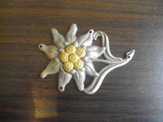 Insignia Edelweiss Gorra Gebirgsjäger Original